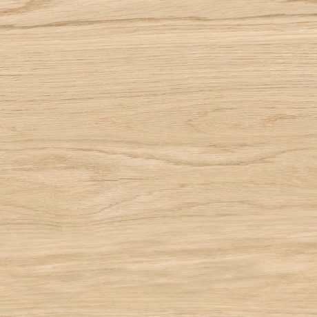 Tilia Beige rect. 60×120